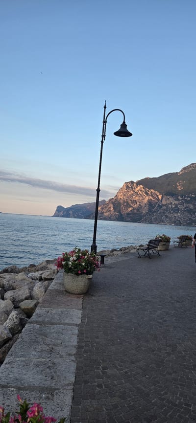 The image depicts a scenic view of the lakeside promenade in Torbole, Italy, bathed in the soft light of either sunrise or sunset. The water, a deep blue, stretches towards a distant mountainous coastline. A classic black lamppost stands prominently in the foreground, its curved arm extending over the paved walkway. Beside the lamppost, a large, textured planter overflows with vibrant pink and white flowers. The promenade itself is paved with dark cobblestones, leading towards two wrought-iron benches, each placed beside another planter of flowers. The left side of the promenade is bordered by a sturdy stone wall, beyond which lie large, grey rocks leading down to the water. In the far distance, the rugged mountains are illuminated by the warm, low-angled sun, casting long shadows and highlighting their textured surfaces. The sky is a clear, pale blue with faint wisps of clouds near the horizon. A single, dark object, possibly a bird or a small aircraft, is visible in the upper left quadrant of the sky. A person, mostly obscured and viewed from behind, is partially visible on the far right of the frame, walking away from the camera.
