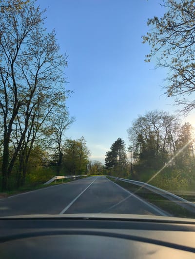 Captured from a vehicle's interior, the photograph portrays a road leading into a wooded area. The location is Zdravets, Bulgaria. A grey asphalt road stretches towards the horizon, bisected by a single white line marking the lane. Guardrails line both sides of the road. Bare trees, some budding with new leaves, flank the road, forming a canopy against the clear, light blue sky. Sunlight filters through the trees on the right, creating lens flare. The dashboard of the vehicle is visible at the bottom of the frame.
