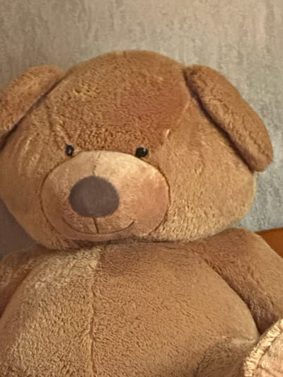 A large, light-brown, plush stuffed animal, consistent with a bear or dog, is depicted in an indoor setting. The toy features a rounded head with two small, black, bead-like eyes, a prominent oval-shaped dark brown nose, and a stitched black line forming an upward-curving smile. Two floppy, rounded ears extend from the sides of its head. The plush material appears soft and shaggy. The toy is positioned facing forward, with its upper body and head occupying the majority of the frame. The background consists of a uniformly light-colored, textured surface, likely an interior wall, with a darker, indistinct object or surface visible to the lower right behind the toy. No people, actions, or interactions are present. The precise location within the city of Jitnitsa, Bulgaria, is not visually discernible from the image content.