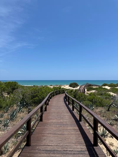 A wooden boardwalk, dark brown in color with matching railings, extends into the foreground and curves gently to the right, leading towards the sea. The boardwalk is constructed from parallel planks. On either side of the boardwalk, sandy terrain is covered with dense, low-lying green vegetation, including numerous succulent-like plants with thick, spiky leaves (resembling agave). Further along the path, the boardwalk continues through sand dunes heavily populated with green bushes and scrub. In the mid-distance, a raised section of the boardwalk forms an arching structure. Two small, unidentifiable human figures are visible standing on this elevated section, facing towards the ocean. The background features the horizontal expanse of the turquoise-blue Mediterranean Sea, with subtle white waves breaking near the shore. Above the sea, the sky is clear and bright blue, with a few faint, wispy white clouds present in the upper left quadrant. The scene is illuminated by strong sunlight, casting distinct shadows of the railings onto the boardwalk planks and the sandy ground. This coastal path is located in Guardamar del Segura, Spain.