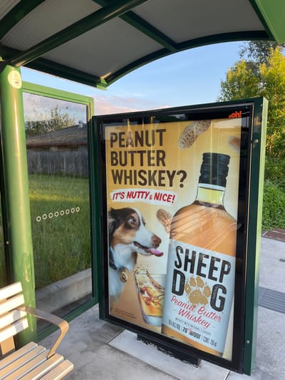 The image shows a bus stop shelter in Riverhills, Australia. The shelter is made of green metal and has a glass panel on one side. On the other side, a large advertising poster is mounted, depicting a dog with a drool mark on its chin. The dog is looking to the left, towards a bottle of "Sheep Dog Peanut Butter Whiskey" behind it. The poster features the text "Peanut Butter Whiskey? It's Nutty & Nice!" The whiskey bottle is amber in color and has a black cap.  The background of the poster is yellow, and there are peanuts scattered on it. The shelter is located on a concrete platform, with a grassy area in front of it. The shelter is empty.  The coordinates provided, -27.557 latitude and 152.914 longitude, correspond to Riverhills, Australia.