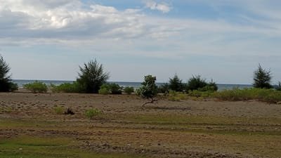 The image shows a beach scene with a body of water in the background and sand in the foreground. There are various types of vegetation, including trees and bushes, scattered across the sand. The sky is partly cloudy. The location is identified as Pusong, Indonesia, suggesting it is a coastal area. The scene is natural and appears to be undeveloped. There are no people or specific actions depicted. The overall impression is one of a serene, natural landscape.