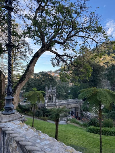 A picturesque scene unfolds with a large, bare tree branching across the frame against a partly cloudy sky. Below, a building with Gothic architecture is nestled amidst lush greenery and fern-like trees. A manicured lawn stretches to the right. An ornate stone railing borders the foreground, offering a vantage point into this landscape. The scene exudes a tranquil and historical ambiance.