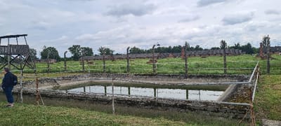 This image depicts a section of the former Auschwitz II-Birkenau concentration and extermination camp in Brzezinka, Poland, under an overcast sky. In the foreground, a rectangular, concrete-lined reservoir, partially filled with dark, reflective water, is visible. The reservoir walls are aged concrete, and a rusted metal railing runs along its perimeter. To the left, a multi-story wooden watchtower with a gabled roof stands. One individual, seen from behind, wearing a dark jacket, blue jeans, and a backpack, stands on the grassy ground near the watchtower, facing the distant structures. Beyond the reservoir, multiple layers of barbed wire fencing supported by weathered posts extend across the midground. In the background, a vast grassy field stretches towards numerous rows of uniform reddish-brown brick barracks with dark roofs, indicative of former camp housing. Trees line the distant horizon.