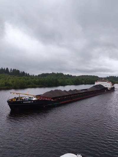 A barge filled with dark material, likely coal or sand, is seen navigating a wide, dark river under an overcast sky. The barge, named "НЕВСКИЙ-15" in Cyrillic lettering, has a black hull with a red waterline and a white superstructure at the rear. The cargo is piled high in the barge's open holds, creating a textured, mountainous appearance. Along the riverbanks, dense green trees form a natural border. The water's surface is choppy, indicating a gentle current or wind. The overall scene is one of industrial transport against a natural, muted landscape. The location is identified as the city of Alekseevskoe, Russia. There are no people visible in the image.