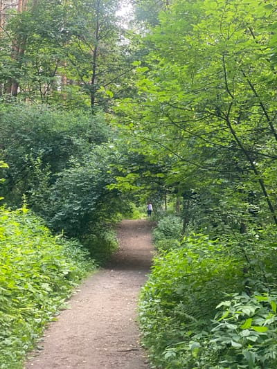This image depicts a dirt path winding through a lush, green forest. The path is surrounded by dense foliage and trees with vibrant green leaves. The sun is shining, casting dappled light through the canopy, suggesting it's daytime, likely a warm and pleasant day.
In the distance, a person can be seen walking along the path. They are wearing a horizontally striped top and dark bottoms. The overall mood of the image is tranquil and serene, evoking a sense of peace and connection with nature. The setting appears to be a natural park or woodland area, possibly in Kotelniki, Russia, given the location context. No text is visible in the image.