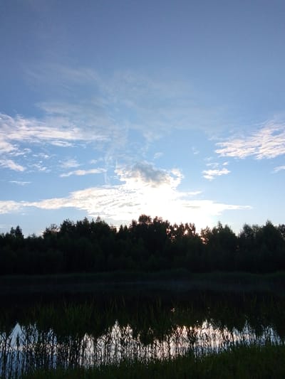 The media file depicts a tranquil natural scene at dusk, likely near Снопок Новый, Russia. The primary subjects are a serene body of water reflecting the sky, a dense line of trees forming a dark silhouette against the horizon, and the sky itself, filled with wispy clouds.

The time of day is clearly evening, as indicated by the soft, fading light and the colors in the sky. The sun is setting, or has recently set, behind the treeline, creating a gentle glow and casting long shadows. The sky is a gradient of blue, transitioning to lighter shades near the horizon, with streaks of white and gray clouds adding texture and depth. The water appears calm, with only minor ripples, and it mirrors the sky and the silhouette of the trees, creating a symmetrical and peaceful effect.

In the foreground, tall grasses and reeds grow along the edge of the water, their dark forms silhouetted against the muted reflections. Their presence suggests a natural, undeveloped area, possibly a lake or a wide river. The overall mood conveyed is one of quiet beauty and serenity. There are no people or specific objects visible, emphasizing the natural landscape. The weather appears to be clear with some cloud cover, typical for an evening in this region. There is no visible text in the media file.