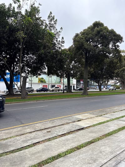 The image shows a street view in the city of Magdalena del Mar, Peru. On the left, a row of trees lines the street, shading parked cars and commercial buildings. The buildings display signage, including real estate advertisements. A narrow strip of grass separates the trees from the asphalt road, which is marked with yellow lines. To the right of the road, the sidewalk consists of concrete slabs separated by strips of grass. The sky is overcast.