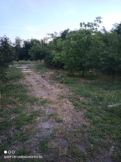 The image depicts an outdoor scene in Slobozhanske, Ukraine. A dirt path winds through a grassy area with trees and foliage lining the sides. The path appears to be composed of small stones and dirt, with patches of dry grass and weeds. In the background, there is a dense line of trees. The sky above is a light blue with some wispy clouds. The overall impression is a somewhat unkempt but natural outdoor space. The lower corner of the image contains a watermark that reads "SHOT ON UMIDIGI A13 Pro 5G".