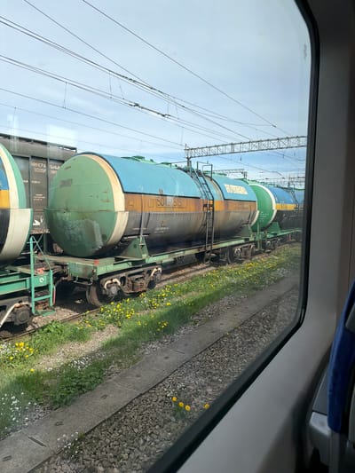 The image, likely taken from a moving train in the city of Трубичино, Russia, shows a view through a train window of adjacent train cars. The train cars appear to be tank cars used for transporting liquid or gas, with prominent green and blue coloring and rust stains. Visible text on the train car indicates the transportation of "mineral fertilizers". Electrical wires run above the train cars against a pale sky. Along the track is a strip of gravel, grass, and small yellow and white flowers. The photograph appears to have been taken during daylight hours.