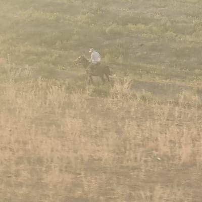 An individual wearing a light-colored hat and a blue shirt is riding a dark-colored horse through a grassy, arid field. The horse is facing to the left and is in mid-stride. The field appears to be located in or around the city of Arys, Kazakhstan, given the dry, steppe-like vegetation. The background consists of more rolling hills covered in similar vegetation. The image is slightly hazy, suggesting dust or atmospheric conditions that obscure finer details. The overall impression is one of a solitary figure traversing a vast, open landscape.