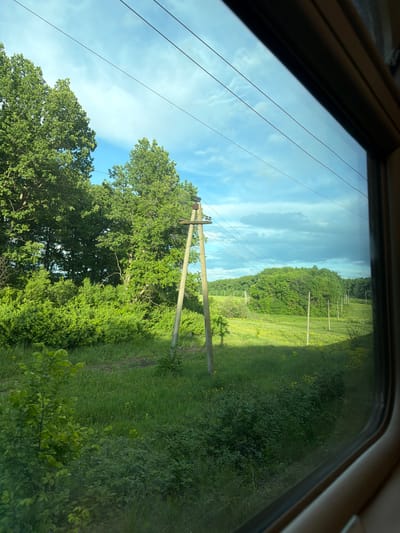 The image depicts a view through a window, likely from a moving vehicle, of a rural landscape. A power line pole is visible in the foreground, partially obscured by trees with green foliage. The sky is blue with scattered clouds. A grassy field extends into the distance, with a line of trees and more power line poles along the edge of the field. The setting is identified as near Bagrash-Bigra, Russia.