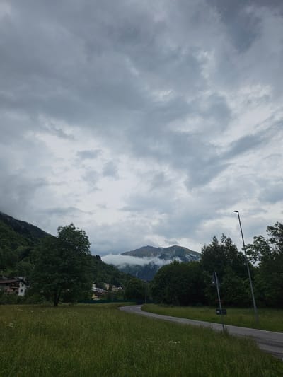 The image depicts a cloudy, overcast day in Pontagna, Italy. The foreground is dominated by a lush, green meadow filled with tall grass and scattered white wildflowers. To the right, a paved road curves gently into the distance, bordered by a strip of grass and a line of trees. Several dark green trees stand prominently in the mid-ground, with a few buildings visible behind them on a hillside. Further in the background, the slopes of a mountain are covered in dense green forest. The peak of the mountain is shrouded in mist, with visible layers of clouds obscuring the sky and casting a dim light on the landscape. A single lamppost stands along the road on the right side of the image.