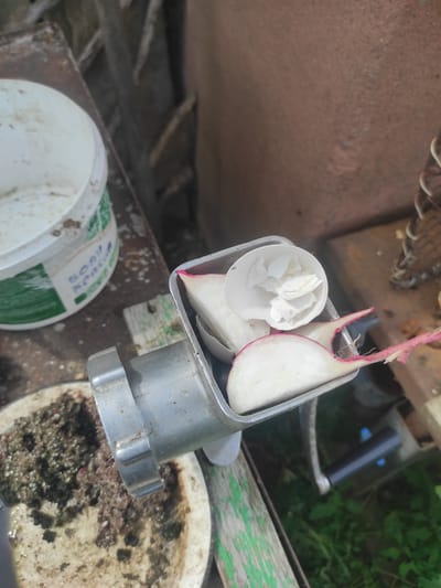 A close-up, overhead view shows food being prepared in a manual meat grinder. Radishes, with their pink tops, are positioned inside the grinder's hopper. A cracked, white eggshell filled with small pieces of boiled egg sits atop the radishes. To the left, a white plastic bucket with green and blue lettering is visible. The scene appears to be outdoors, with hints of a wooden surface and green foliage in the background. The image is set in Некрасовка, Kazakhstan.