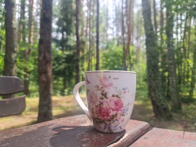 A close-up shot captures a white ceramic mug adorned with a floral pattern of pink and red roses, along with smaller purple and pink flowers and a pink butterfly, placed on a rustic wooden table. The background is a softly blurred forest scene, indicative of a tranquil natural setting. The image appears to be taken outdoors, possibly in a park or wooded area. The presence of a bench, partially visible on the left side of the frame, suggests a recreational or resting area. The lighting indicates it is daytime, with soft sunlight filtering through the trees. The location is identified as Stanuliškės, Lithuania.