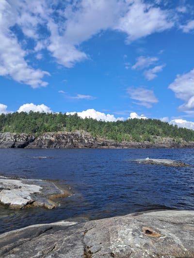 The image shows a rocky shoreline with dark blue water. In the foreground, there are several large, grey rocks with lichen. The middle ground features a body of water with smaller rocky outcrops. The background is dominated by a dense green forest covering a rocky cliff face, extending to the horizon. The sky is a bright blue with scattered white cumulus clouds. Two small birds are visible in the sky. The overall scene depicts a natural, undeveloped landscape. The provided location is Tervu, Russia, suggesting this is a view of the natural surroundings of that area. There are no people or man-made structures visible in the image, besides what appears to be a small metallic object embedded in a rock in the foreground.