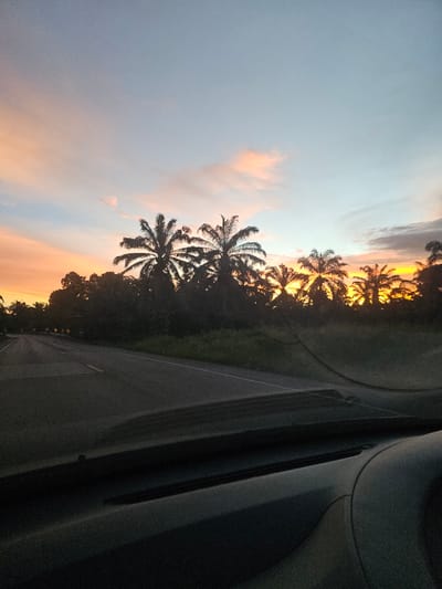The image depicts a road in Khlong Thom, Thailand, at dusk. The sky is a gradient of pale blue and soft orange hues, with streaks of pink and yellow clouds. Silhouetted against this vibrant sky are numerous palm trees and dense foliage lining the road. The road itself is paved and appears to be a two-lane highway with white markings. On the left side of the road, there are yellow directional signs with black arrows indicating curves. The foreground is dominated by the dark interior of a vehicle, including a windshield and dashboard. The scene is serene and captures the natural beauty of the tropical landscape at sunset.
