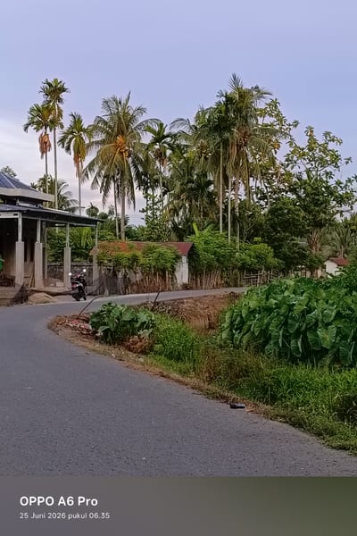 The image depicts a road in Rheum Barat, Indonesia, at 6:35 AM on June 25, 2026. The scene features a curved asphalt road, flanked by lush green vegetation including large-leafed plants and tall palm trees. To the left of the road is a building with a dark roof and supporting pillars, and a motorbike with illuminated headlights is parked near the building. Further along the road, there are more structures with red roofs and wooden fencing, interspersed with dense foliage and trees. The sky above is a light, hazy blue.