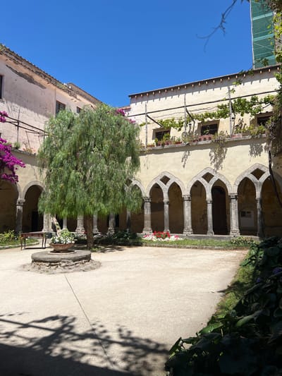 The image depicts the cloister of San Francesco in Sorrento, Italy, on a clear, sunny day. The courtyard is paved with light-colored material and features a central tree with delicate, cascading foliage. In front of the tree is a circular stone structure, likely a well or fountain, with a planter filled with white flowers.
The cloister itself is characterized by a series of arched openings supported by stone columns, forming a covered walkway around the courtyard. The architecture has a weathered, historic appearance. The walls of the surrounding buildings are painted a pale yellow and have tiled roofs. Greenery, including vines and flowering plants, adorns the upper levels of the buildings and the edges of the courtyard.
To the left of the central tree, a small, ornate wooden table with a single chair is visible. Further to the left, vibrant purple bougainvillea cascades down a wall. The right side of the image shows lush, dark green foliage bordering the courtyard. The sunlight casts distinct shadows on the ground, highlighting the shapes of the tree's branches and leaves. There are no people visible in the image. The overall scene conveys a sense of tranquility and historical charm.