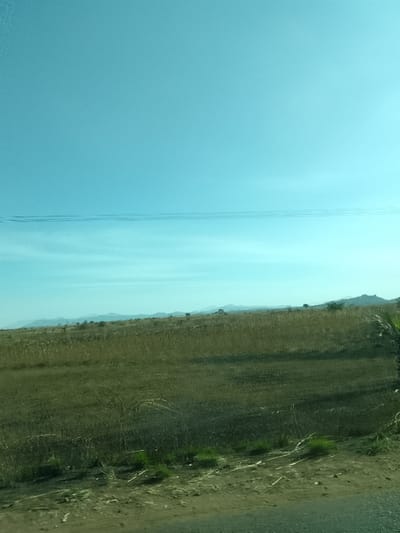The image depicts an expansive rural landscape in the area of Kerang, Nigeria, under a clear, light blue sky. Three parallel utility lines traverse the upper mid-frame, appearing as thin horizontal lines. Along the distant horizon, a series of undulating hills or mountains are present. The midground consists of broad fields covered predominantly in dry, yellowish-brown vegetation, consistent with agricultural land, with darker earth patches visible. The immediate foreground features dark, dry soil interspersed with sparse green plant growth, suggesting a roadside or uncultivated strip. A dark, out-of-focus element is partially visible on the far right foreground. No identifiable human subjects, active interactions, or specific man-made structures are discernible within the frame.