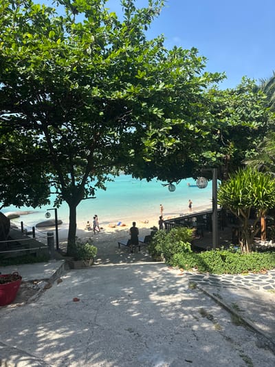 A beach scene is viewed from an elevated vantage point, framed by lush green trees and foliage. Turquoise water meets a sandy shore where people relax and stroll. Decorative globe lights hang above the beach. A paved path leads from the viewing point towards the beach, lined with greenery and a low fence. The sky is clear and blue.