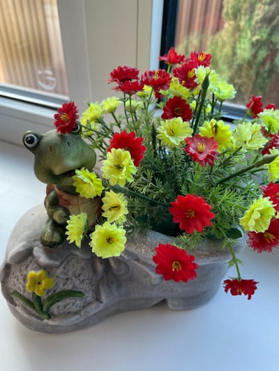 A high-angle shot shows a decorative flowerpot with red and yellow flowers. The pot is gray and shaped somewhat like a shoe or boot. Attached to the front of the pot is a green frog with large, protruding eyes. The pot sits on a white surface, likely a windowsill, with a window reflecting an outdoor scene visible behind it. The location is Лесной Пейзаж Кп (шарапово), Russia.
