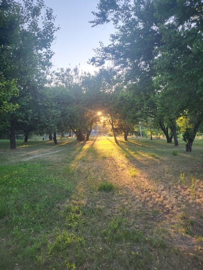 The image depicts a sun-dappled park with mature trees lining a grassy path. The sun is low in the sky, casting long shadows across the lawn. In the background, there appears to be a building or structure. The environment suggests a peaceful outdoor setting within the city of Khotsky, Ukraine, likely during the late afternoon or early evening. There are no people visible in the frame.