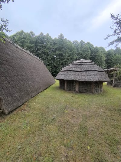 The image depicts an outdoor scene at the "Kamyanyuki Village Council" in Belarus, featuring traditional thatched-roof structures and lush greenery. In the foreground, a large, steeply pitched thatched roof dominates the left side of the frame, extending towards the viewer. To the right, a smaller, circular thatched-roof building with woven wicker walls stands on the grass. Behind these structures, a dense line of green trees forms the backdrop against an overcast sky. The ground is covered in a mix of green grass and patches of dry leaves. The scene appears to be part of an open-air museum or historical reconstruction, showcasing traditional rural architecture.