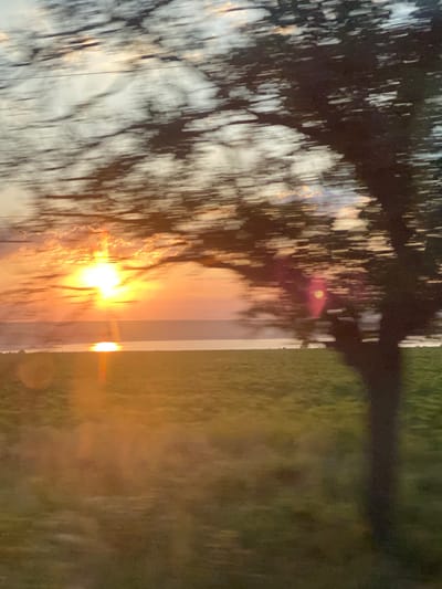 The image captures a blurry sunset over a body of water, likely a lake or sea, viewed from a moving vehicle in Balabanu, Moldova. A large, silhouetted tree with blurred branches dominates the right side of the frame, its dark form contrasting with the bright, orange and yellow hues of the setting sun. The sun is low on the horizon, casting a shimmering reflection on the water. The foreground shows a blurred expanse of green, suggesting a field or grassy area. The sky is a mix of pale blue, white, and streaks of orange from the sunset, with what appear to be power lines stretching across the upper portion of the image. The overall impression is one of motion and a fleeting moment of natural beauty. There are no people or explicit interactions visible in the image.
