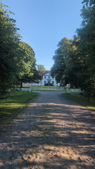 This is a vertical, low-angle photograph taken outdoors. The scene depicts a tree-lined path leading towards a large, white building with red trim, likely a manor house or similar estate. The path itself appears to be made of cobblestones or packed earth and is partially shaded by the overhanging trees, casting dappled shadows across its surface.

To the left of the path, a well-maintained lawn stretches towards the building, separated by a white fence. Lush green trees dominate the foreground and frame the view of the building. The building itself is multi-story with numerous windows and appears to be architecturally significant. A flagpole stands in front of the building.

The sky is a clear, bright blue, indicating fair weather. The lighting suggests it is daytime, likely late afternoon given the long shadows. There are no people or explicit activities visible in the photograph, suggesting a serene, perhaps private, setting. The image conveys a sense of tranquility and the beauty of a well-kept rural estate. There is no visible text in the image.
