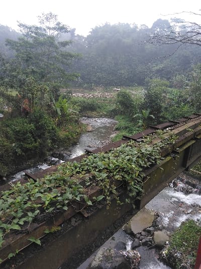 The image captures a natural environment in Cugenang, Indonesia, featuring a river and dense vegetation under an overcast sky. In the foreground, a dark, weathered structural beam, consistent with a bridge or elevated pathway, extends from the lower right towards the center left. This beam is extensively overgrown with green vines and smaller plants. Below the beam, a rocky river flows, exhibiting visible water movement and small rapids. Both banks of the river are densely vegetated with various green trees, bushes, and tropical foliage. Small, red-roofed structures are partially discernible among the trees on the left riverbank. In the mid-ground, the river curves towards a more open, rocky area before merging into the distant, dense forest. The background is dominated by an expansive, multi-layered forest or jungle, appearing hazy due to atmospheric conditions. No individuals, specific actions, or interactions are visible within the scene.