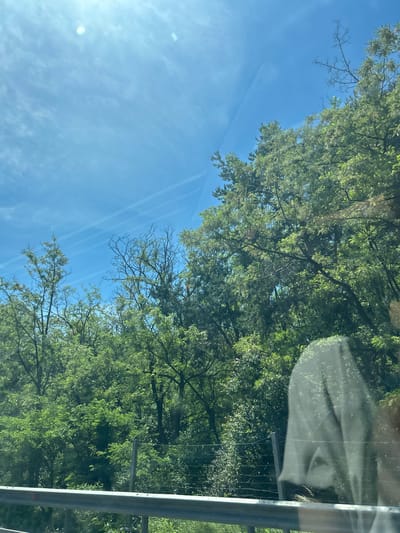 The image shows a view of a road embankment on a sunny day. Lush green trees line the embankment, with a bright blue sky overhead. The sky has a few wispy white clouds and what appear to be contrails from an aircraft. A metallic guardrail runs along the bottom of the frame, suggesting the perspective is from a vehicle. In the foreground, a faint reflection of what appears to be a person or fabric is visible on the surface through which the image was taken, possibly a car window. The overall impression is one of a scenic drive through a wooded area, possibly along a highway. The location is identified as Novi Han, Bulgaria.