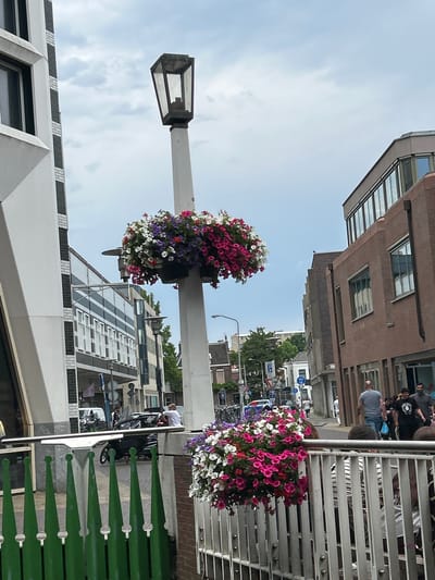 The image depicts a street scene in Zaandam, Netherlands, viewed from a slightly elevated perspective. The orientation of the photo is rotated 90 degrees counter-clockwise. In the foreground, a streetlamp with a hexagonal lantern is visible, adorned with a large hanging basket overflowing with vibrant pink, white, and purple petunias. To the right, a white railing with vertical slats runs along a raised walkway or bridge.
Behind the railing, several people are casually gathered. They appear to be on a sidewalk or pedestrian area. Further in the background, there are multi-story buildings with modern and traditional architectural elements, including brick facades and large glass windows. Trees and more streetlights are interspersed throughout the urban landscape. A white car is parked on the street.
The sky is partially cloudy, suggesting daytime. The overall atmosphere appears to be relaxed and pleasant, possibly during a market day or a public gathering. The scene is typical of a European city street. No visible text is discernible in the image.