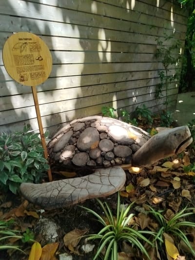 A wooden sculpture of a sea turtle is displayed in a garden setting, in front of a slatted wooden fence. The turtle sculpture is made of various wood pieces, forming its shell and head. A wooden sign with text and an illustration related to sea turtles is planted in the ground to the left of the sculpture. The ground around the turtle is covered with fallen leaves and some green foliage. Sunlight casts dappled shadows on the fence and the ground. The image is taken in the city of Kendhoo, Maldives.