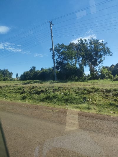 The image depicts a rural roadside scene in Municipality ward, Kenya. A paved road occupies the lower portion of the frame. A grassy verge separates the road from a slightly elevated area of vegetation, including shrubs and trees. A concrete utility pole with power lines stretches vertically across the sky. The sky is blue with scattered clouds. No people are visible.