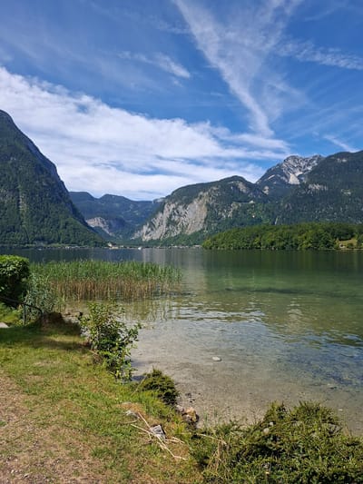 The image shows a panoramic view of Hallstätter See, a lake in Obertraun, Austria. The lake is calm and clear, with the bottom visible in some areas. The foreground features a grassy bank with some reeds and small bushes. In the background, towering green mountains rise on either side of the lake, their slopes covered in dense forest. The sky is a vibrant blue with wispy white clouds. On the far side of the lake, a small village with red-roofed houses is nestled along the shore, with more mountains in the distance. The scene is idyllic and tranquil, evoking a sense of natural beauty and peace.