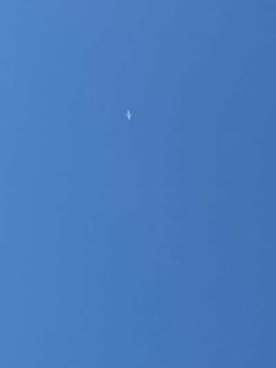 A single airplane is visible in the center of a clear blue sky. The airplane is small and appears to be white. The image is a photograph of the sky with no other objects or people present. The location is described as Novi Kiner, Russia, though this information cannot be verified from the image itself.