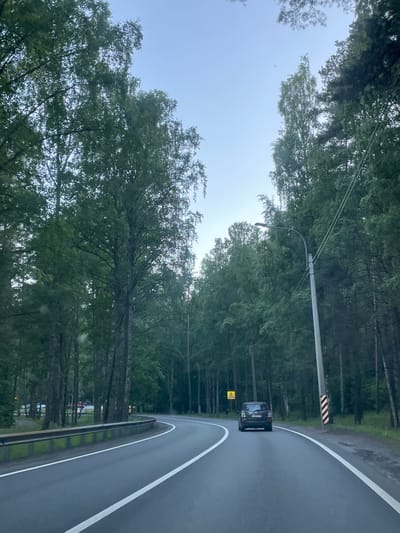 The image shows a view from a vehicle traveling on a paved road that curves to the right through a dense forest. The road has white lane markings. On the left side of the road, a metal guardrail is visible, with grassy embankment beyond it. On the right side, a gray utility pole with black and white diagonal markings stands beside the road. A dark-colored SUV is driving ahead in the right lane. Further ahead, a yellow triangular warning sign with a black border is visible on the left side of the road. The trees lining the road are tall and predominantly green, with some appearing to be birch trees with lighter bark. The sky is overcast and pale blue. The scene appears to be located in a rural or suburban area, possibly on the outskirts of Серово, Russia, given the prevalent tree cover and the type of road infrastructure. There are no people clearly visible in the image, and the focus is on the road and its surroundings.
