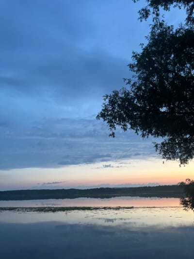 The image depicts a tranquil natural scene, likely at dusk or dawn, with a body of water in the foreground and a treeline in the distance. The sky is a gradient of blues and soft oranges, with scattered clouds. A silhouetted tree branch with leaves extends from the upper right corner of the frame. The water is calm and reflects the sky and the distant landscape. No people or man-made structures are visible. The scene is set in the city of Klepiki, Russia.