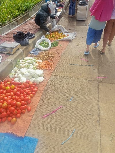 The image depicts a bustling, informal roadside market in Kecamatan Pangalengan, Indonesia, under bright daylight conditions. A male vendor, dressed in a dark jacket and a white cap, is seen squatting beside a diverse array of fresh produce, seemingly arranging or tending to a large pile of small orange fruits, possibly kumquats or mandarins, contained in a white sack.
His goods are laid out directly on the concrete pavement atop orange and blue fabric mats. The display includes a prominent mound of red tomatoes in the foreground, alongside neat piles of white daikon radishes, pale green cabbages or cauliflowers, bright orange carrots, and numerous potatoes. Further back, bags hold green citrus fruits, likely limes or lemons, and more of the small orange fruits. A digital weighing scale rests on the curb, indicating a place for transactions.
Two female customers stand with their backs to the camera, appearing to browse or wait. One wears a pink hijab, light-colored shirt, blue pants, and light blue flip-flops, while the other wears light brown pants and sandals. The concrete ground features visible textures and scattered colorful plastic strips, possibly discarded ties or packaging. Behind the market stall, a brick-lined curb gives way to lush green foliage, suggesting an outdoor, possibly semi-urban or rural setting. No discernible text is visible in the image.