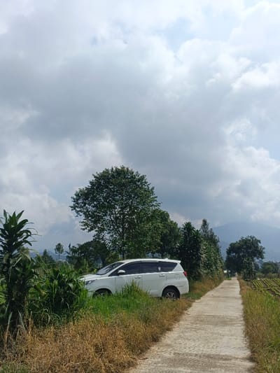 The scene depicts an outdoor environment in Nam Sa Lat, Myanmar, under a sky with significant cloud cover and intermittent blue patches. A white multi-purpose vehicle is parked partially off the left side of a narrow, light-colored concrete road, angled away from the camera. The front of the vehicle is partially obscured by dense green and dry brown vegetation. The concrete road extends into the background, flanked by overgrown grass and scattered trees. A cultivated field with organized rows of green plants is visible on the far right. In the distance, several large green trees are positioned against a backdrop of hazy, blue-grey mountains. No individuals or animals are present.
