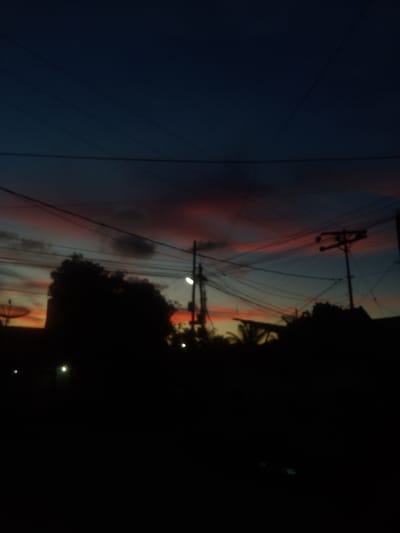 This is a vertical, low-light photograph of a twilight sky with silhouetted objects in the foreground. The sky transitions from a deep navy blue at the top to bands of reddish-pink and yellow near the horizon, suggesting sunset or sunrise. Several power lines crisscross the frame, creating a complex network against the colorful sky.
In the silhouette, there are at least two utility poles with attached wires. To the left, a satellite dish is visible atop a structure, also silhouetted. A large, dark mass of foliage, likely trees, dominates the middle ground and left side of the image. To the right, more silhouetted trees and foliage are present. Some faint lights are visible in the lower portion of the frame, possibly streetlights or house lights, adding to the evening atmosphere. One light in particular, on the right side, appears to be a lamp post.
The overall scene depicts an urban or semi-urban environment at dusk. The silhouettes and the colors of the sky evoke a sense of calm and transition. The image appears to have been taken outdoors. No people are visible in the frame. There is no visible text.