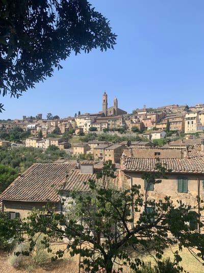 The image depicts a panoramic view of the hilltop town of Montalcino, Italy, bathed in bright sunlight under a clear blue sky. In the foreground, lush green trees with dense foliage partially obscure the view, their branches extending into the frame. The middle ground reveals a densely packed collection of buildings with terracotta tiled roofs, characteristic of Italian architecture. These structures are built on a sloping hillside, creating a layered effect. Several church spires and towers punctuate the skyline of the town, most notably two prominent bell towers in the distance. The buildings themselves are a mix of muted earth tones, with some featuring pastel-colored facades. The environment appears dry and Mediterranean, with sparse vegetation on the slopes between the buildings. The overall scene conveys a sense of ancient charm and tranquility.