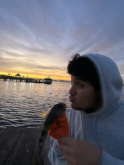 The image captures a moment at dusk or sunset in Coronado, United States of America, featuring a young person holding a fish on a pier. The main subject is a male, appearing to be a teenager or young adult, wearing a light grey hooded sweatshirt with the hood pulled up. His dark, curly hair is visible beneath the hood, and he is looking down at the fish he holds.

The fish, possibly a spotted bay bass or similar species, is held in the person's hands, with part of its body covered by what appears to be an orange cloth or glove. Its tail extends towards the lower right, partially over wooden planks.

The background depicts a calm body of water, likely a bay, under a colorful sunset sky. The horizon glows with warm shades of orange and yellow, transitioning into soft purples and blues higher up. A long pier stretches into the water on the left side of the frame, silhouetted against the bright sky. Several lights illuminate the pier structure, casting reflections on the gently rippling water. A boat is visible in the distance near the pier. The foreground on the right shows the textured surface of a wooden pier or deck.

The time of day is clearly sunset or dusk, contributing to a tranquil and contemplative atmosphere. There is no visible text in the image.