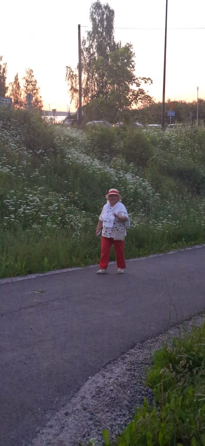 A woman wearing a red and white striped hat, a white top with black polka dots, and red pants walks along a paved path next to a grassy embankment covered in white wildflowers. She is carrying a light-colored purse over her shoulder. In the background, there are trees, some cars parked, and a body of water visible in the distance. A speed limit sign showing "60" and a sign with "2956" are present on a pole to the right of the path. The sky is light with a hint of sunset colors. This scene is located in the city of Salpakangas, Finland.