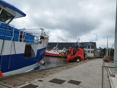 The image shows a view of the port of Cherbourg-en-Cotentin, France. In the foreground, a large blue and white fishing boat is docked. To the right, a paved walkway runs along the harbor, with a metal railing and some stairs. In the background, other fishing boats are visible, including one with a bright orange net. A building with a sign that reads "Port de pêche" (Fishing Port) is also present. The sky is overcast with clouds. There are no people visible in the scene.
