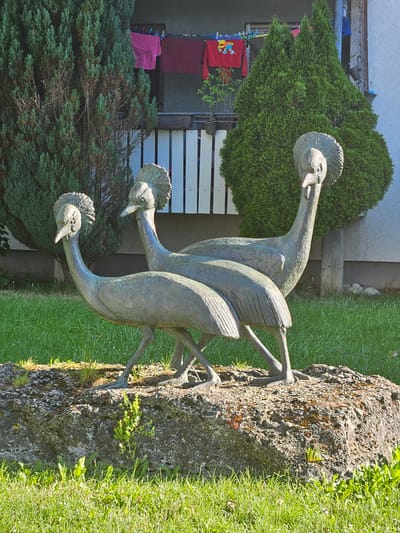 In Schongau, Germany, three bronze bird sculptures, likely representing crowned cranes, stand on a rough stone pedestal in a grassy area. The sculptures are positioned close together, with two in the foreground and one slightly behind and to the right. They are facing left, with their heads slightly tilted upwards. The sculpture on the far left is positioned in front of the other two, and its legs are slightly more forward, suggesting a walking motion. Behind the sculptures, there is a balcony with white railings and laundry hanging on a clothesline. Two evergreen trees, one on the left and one on the right, frame the scene. The ground is covered in green grass with some small weeds. The overall impression is that of a decorative garden feature in a residential area.