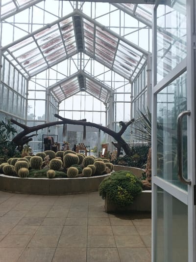 The scene depicts the interior of a large greenhouse or conservatory, located in Munyati, Zimbabwe. The structure features a white metal framework supporting a pitched glass roof and glass walls. Several glass roof panels exhibit reddish-brown discoloration or residue. The floor is paved with light grey square tiles.

In the mid-ground, a prominent circular raised planter, constructed from grey stone or concrete, contains a dense cluster of spherical cacti of varying sizes. Behind this central display, a large, dark-colored, multi-branched tree trunk or root system is arranged horizontally. To the far left, a dark, open-frame structure is visible.

Further in the background, several indistinct human figures are present near display tables or shelves holding various items. A white, easel-like sign or mirror stands to the right of these background displays. Additional green foliage, including tall, spiky plants, occupies the perimeter of the interior.

To the immediate right in the foreground, a white-framed glass door is partially open, revealing a metallic pull handle. Adjacent to this door, a smaller, raised rectangular planter contains a dense cluster of green, spiky succulents.

The exterior visible through the glass walls consists of a grey sky and distant trees. No discernible actions or interactions are clearly depicted beyond the presence of individuals in the background.