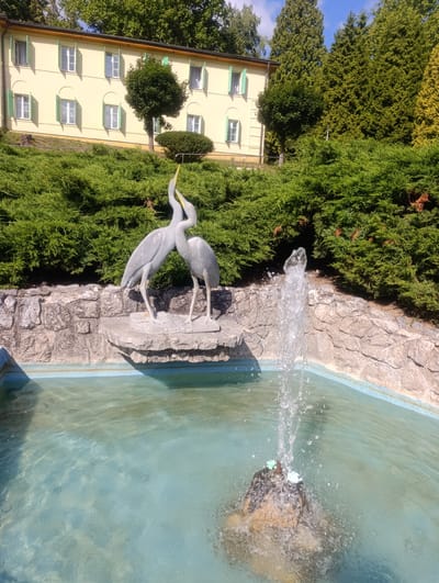 The photograph captures an outdoor scene in Teplice nad Bečvou, Czechia, featuring a fountain with a sculpture of two herons. The fountain has a light blue basin filled with clear water, where a fountain spray is visible in the center, emerging from a rocky base adorned with two small green frog figurines. Behind the fountain, a stone wall supports a terraced area covered in dense, green bushes. Further up the slope, a light yellow building with a dark roof and numerous windows with light green shutters stands out. The building is surrounded by trees, with a clear blue sky and white clouds overhead. The overall atmosphere is serene and picturesque, suggesting a public park or garden setting.