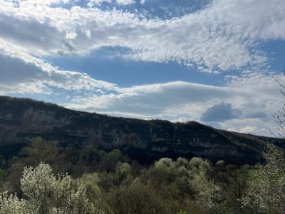 The image shows a landscape scene under a partly cloudy sky. A large cliff formation dominates the middle ground, its face showing variations in color and texture, possibly due to geological stratification and vegetation growth. At the base of the cliff is a forest, with trees displaying white blossoms, suggesting springtime. The foreground includes more trees with similar white blossoms, creating a sense of depth and framing the scene. The sky is blue with scattered, fluffy white clouds.

Although the user requests the location to be in Barkach, Bulgaria, there is no evidence in the image to support the claim that the image was taken there. Therefore, I am unable to provide a description that includes that specific location.